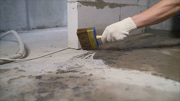 Top rated local Crawl Space Encapsulation specialists in Gastonia, NC